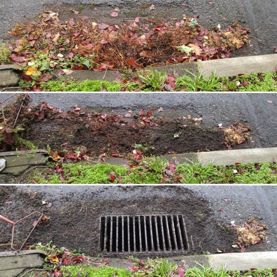 Be Prepared and Clear Your Storm Drains